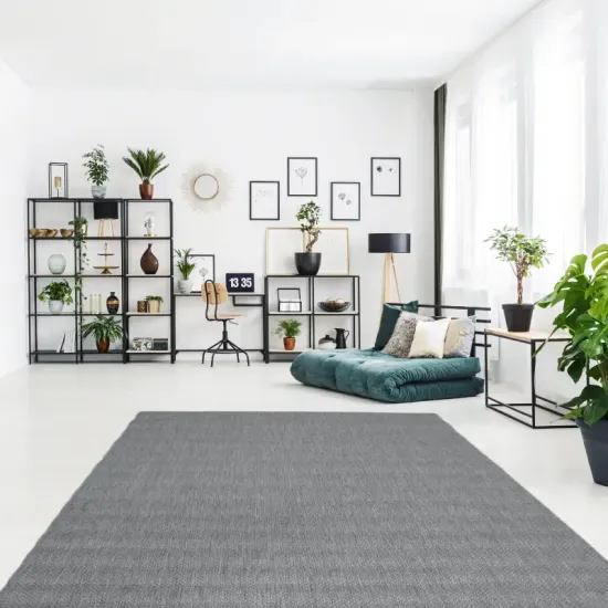 Dywan sznurkowy Flat 48663/920 grafitowy do salonu